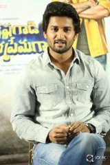 Nani Interview About Krishna Gadi Veera Prema Gaadha
